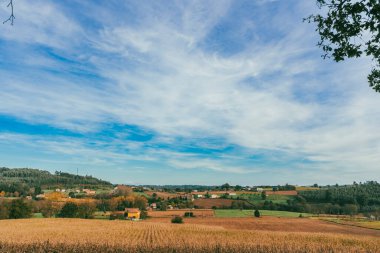 Sahne: Melide - Arza Fransız güzergahında güzel kırsal manzaralar ve güzel ormanlarla. İspanya.