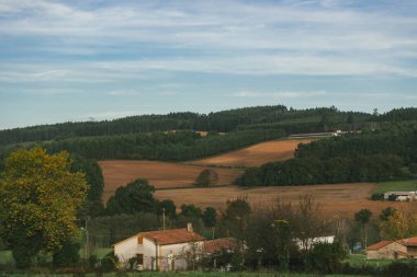 Sahne: Melide - Arza Fransız güzergahında güzel kırsal manzaralar ve güzel ormanlarla. İspanya.