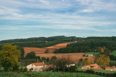 Sahne: Melide - Arza Fransız güzergahında güzel kırsal manzaralar ve güzel ormanlarla. İspanya.