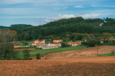 Sahne: Melide - Arza Fransız güzergahında güzel kırsal manzaralar ve güzel ormanlarla. İspanya.