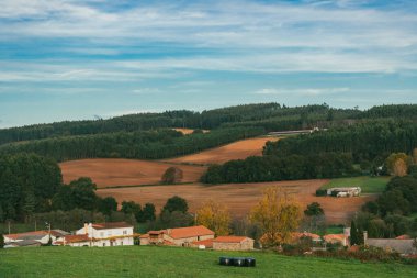 Sahne: Melide - Arza Fransız güzergahında güzel kırsal manzaralar ve güzel ormanlarla. İspanya.