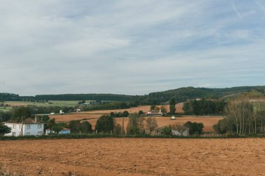 Sahne: Melide - Arza Fransız güzergahında güzel kırsal manzaralar ve güzel ormanlarla. İspanya.