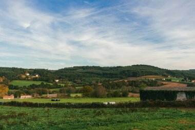Sahne: Melide - Arza Fransız güzergahında güzel kırsal manzaralar ve güzel ormanlarla. İspanya.