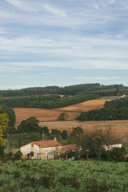 Sahne: Melide - Arza Fransız güzergahında güzel kırsal manzaralar ve güzel ormanlarla. İspanya.