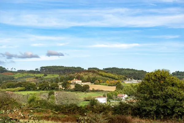Sahne: Melide - Arzua Fransız güzergahında güzel kırsal manzaralar ve güzel ormanlarla. İspanya.
