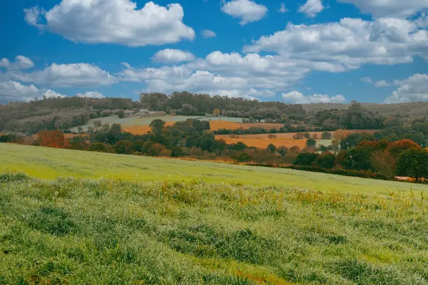 Camino de Santiago 'da Pedrouzo' da mavi gökyüzü olan kırsal alan. İspanya.