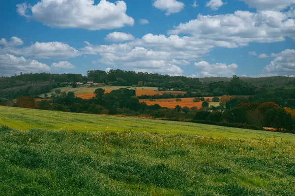 Camino de Santiago 'da Pedrouzo' da mavi gökyüzü olan kırsal alan. İspanya.
