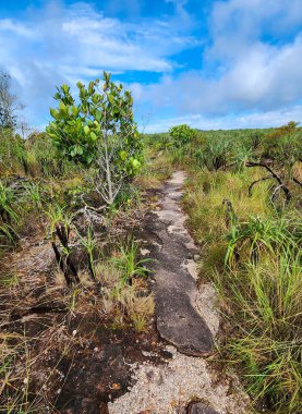 Cao Cristal 'de mavi gökyüzü olan doğal manzara. Kolombiya.