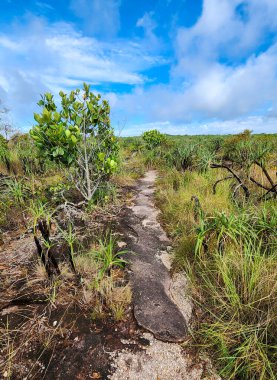 Cao Cristal 'de mavi gökyüzü olan doğal manzara. Kolombiya.