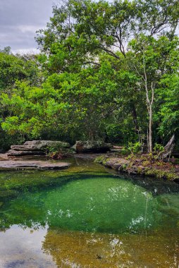 Cao Cristal 'de mavi gökyüzü olan doğal manzara. Kolombiya.