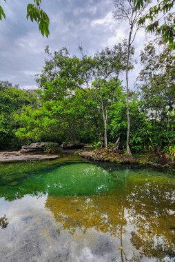Cao Cristal 'de mavi gökyüzü olan doğal manzara. Kolombiya.