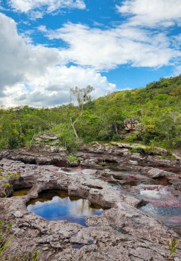 Cao Cristal 'de mavi gökyüzü olan doğal manzara. Kolombiya.