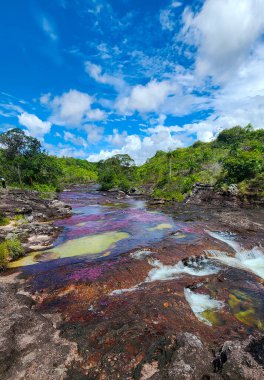 Cao Cristal 'de mavi gökyüzü olan doğal manzara. Kolombiya.