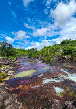 Cao Cristal 'de mavi gökyüzü olan doğal manzara. Kolombiya.