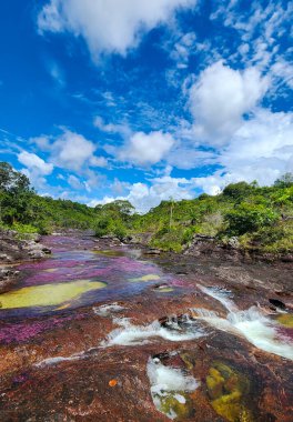 Cao Cristal 'de mavi gökyüzü olan doğal manzara. Kolombiya.