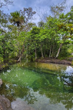 Cao Cristal 'de mavi gökyüzü olan doğal manzara. Kolombiya.