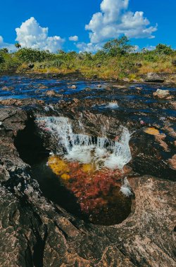 Cao Cristal 'de mavi gökyüzü olan doğal manzara. Kolombiya.