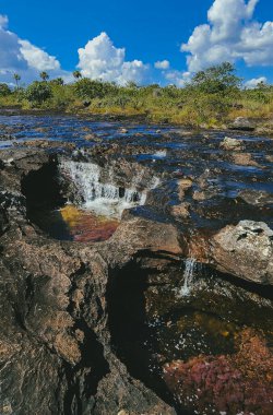 Cao Cristal 'de mavi gökyüzü olan doğal manzara. Kolombiya.