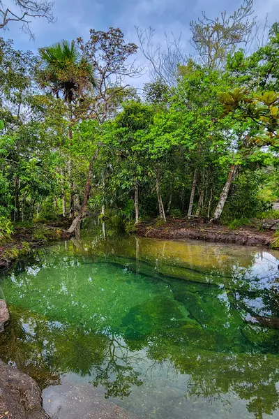 Cao Cristal 'de mavi gökyüzü olan doğal manzara. Kolombiya.