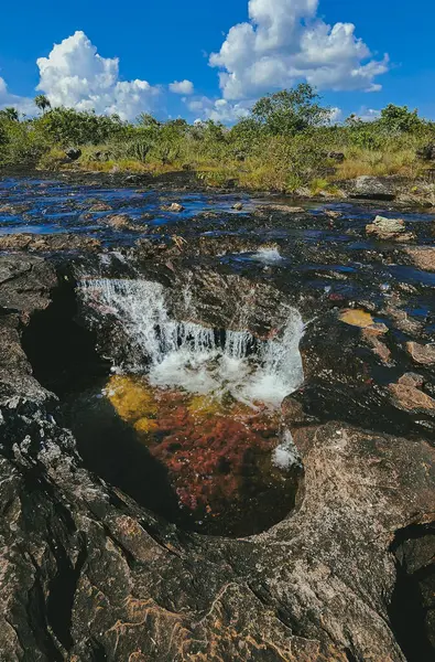 Cao Cristal 'de mavi gökyüzü olan doğal manzara. Kolombiya.