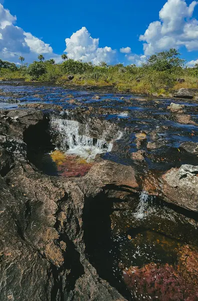 Cao Cristal 'de mavi gökyüzü olan doğal manzara. Kolombiya.