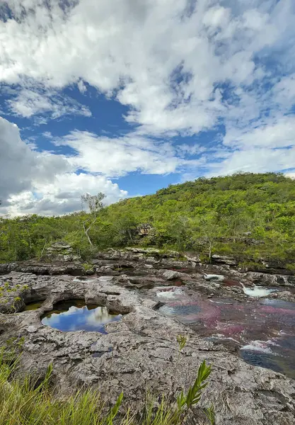 Cao Cristal 'de mavi gökyüzü olan doğal manzara. Kolombiya.