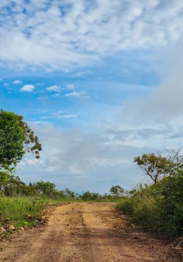 Cao Cristales, Kolombiya 'da yol manzarası ve nehir manzarası.