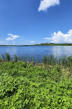 Puerto Kolombiya, Barranquilla, Kolombiya 'da deniz manzaralı doğal manzara.