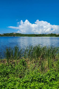Puerto Kolombiya, Barranquilla, Kolombiya 'da deniz manzaralı doğal manzara.