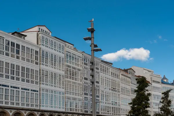 La Coruna, İspanya. 11 Kasım 2024: A Corua ve Marina Caddesi Galerileri. 