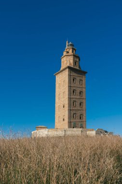 La Corua, İspanya. 11 Kasım 2024: Herkül Kulesi manzaralı doğal manzara.