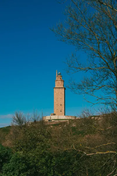 La Corua, İspanya. 11 Kasım 2024: Herkül Kulesi manzaralı doğal manzara.