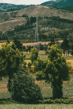Sacama, Boyaca, Kolombiya 'daki tarım ürünlerinin manzarası.