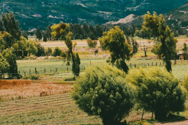 Sacama, Boyaca, Kolombiya 'daki tarım ürünlerinin manzarası.