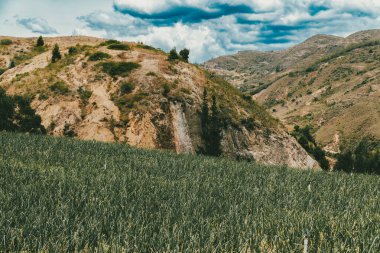 Soğan ekili doğa manzarası. Boyaca, Kolombiya.