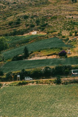Soğan ekili doğa manzarası. Boyaca, Kolombiya.