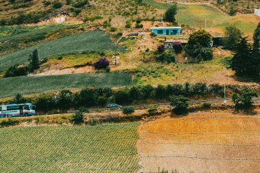 Soğan ekili doğa manzarası. Boyaca, Kolombiya.