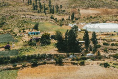 Soğan ekili doğa manzarası. Boyaca, Kolombiya.