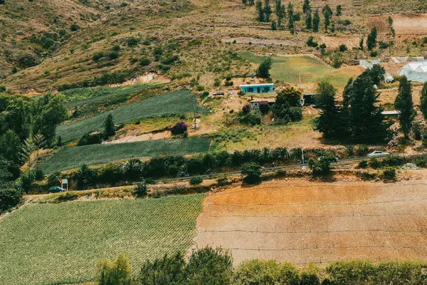Soğan ekili doğa manzarası. Boyaca, Kolombiya.