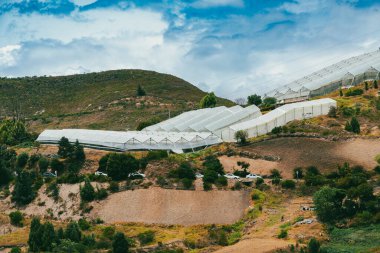 Samaca, Villa de Leyva üzerinden seraların doğal manzarası. Kolombiya. 