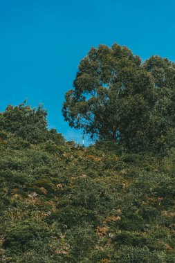 Mavi gökyüzü ve dağları olan Nemocon kırsal arazisi. Kolombiya. 