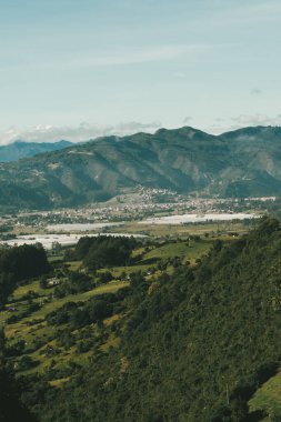 Cundiboyacense manzarası Sesquile çiçekleri ekiyor. Kolombiya