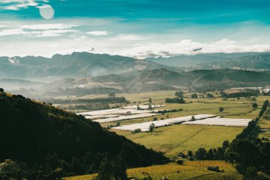 Cundiboyacense manzarası Sesquile çiçekleri ekiyor. Kolombiya