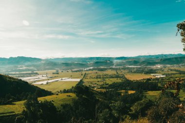 Cundiboyacense manzarası Sesquile çiçekleri ekiyor. Kolombiya