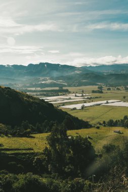 Cundiboyacense manzarası Sesquile çiçekleri ekiyor. Kolombiya