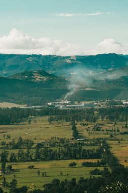 Cundiboyacense manzarası Sesquile çiçekleri ekiyor. Kolombiya