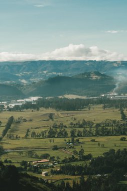 Cundiboyacense manzarası Sesquile çiçekleri ekiyor. Kolombiya