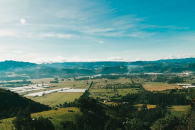 Cundiboyacense manzarası Sesquile çiçekleri ekiyor. Kolombiya