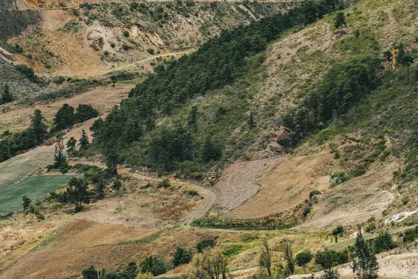 Villa de Leyva, Boyaca, Kolombiya 'ya giden çöl manzarası yolu..