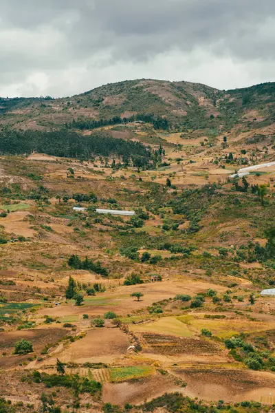 Villa de Leyva, Boyaca, Kolombiya 'ya giden çöl manzarası yolu..